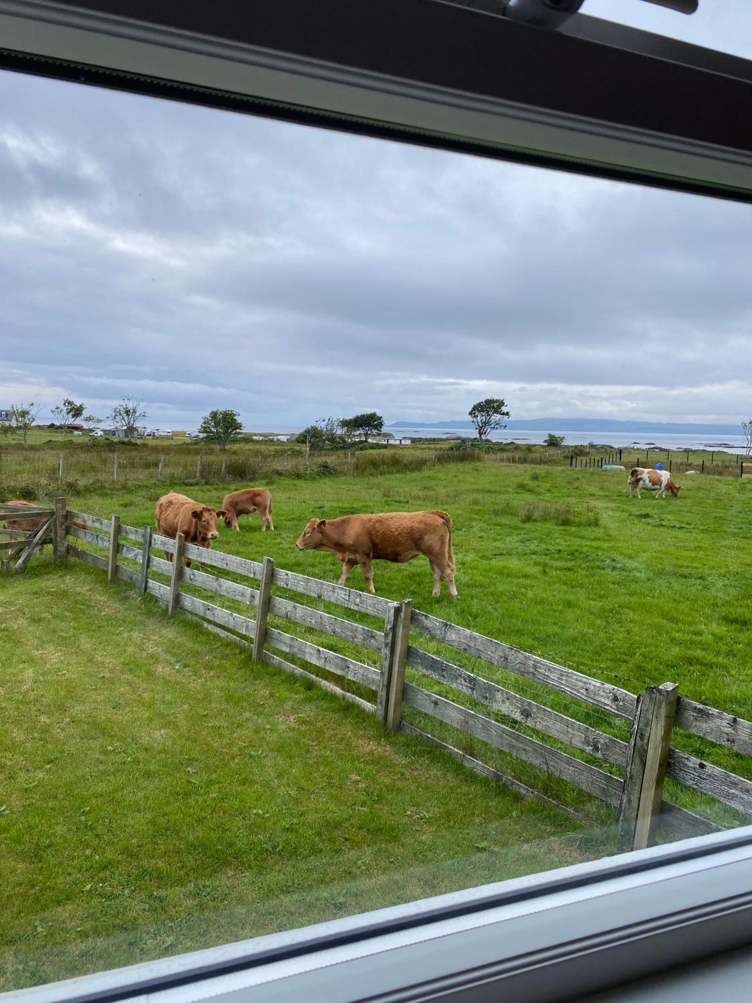 The Sheiling Holiday Home With Gorgeous Views Over The Isles アリセイグ エクステリア 写真